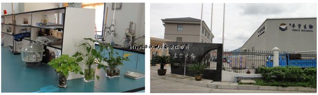 Zhoushan Feng Hai Marine Biological Products Co., Ltd.